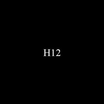 GUNZE-H12