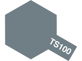 TAMIYA-TS100