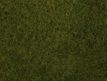 Follaje de hierbas silvestres color verde oliva.