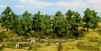 Arboles caducifolios, 6 unidades 14-18 cm.