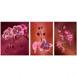 MINIART CRAFT Nature Pink Orchids.