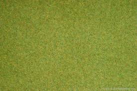 Rollo de tapiz verde 200x120cm