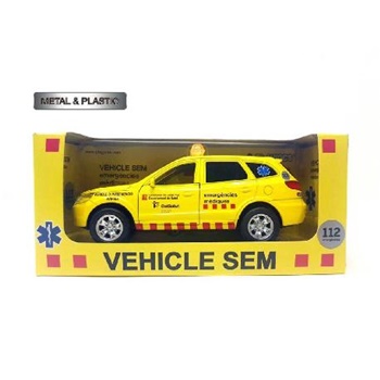 Vehicle SEM