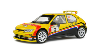 Peugeot 306 Maxi Eifel Rally 2022.
