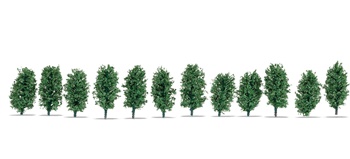 Thuja-Hecke, 12 unidades.