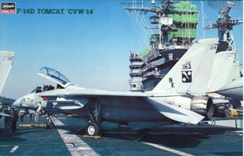 F-14D TOMCAT CVW-14.