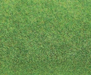 Tapete color verde claro. Medida: 1000x2500mm.