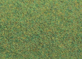 Tapete color verde. Medida: 1000 x 1500mm.
