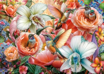 Jardín de colibríes, 500 piezas.