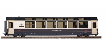 Coche panorámico GOLDENPASS MOB As 191.