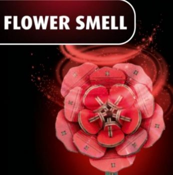 Flowers Dream of Roses.