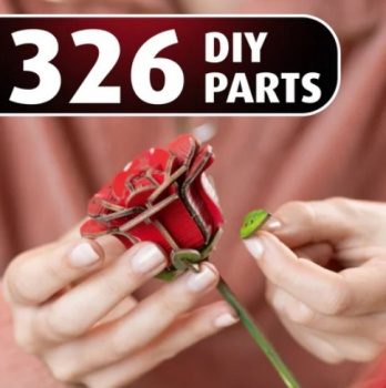 Flowers Dream of Roses.