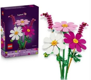 BOTANICALS Flores.