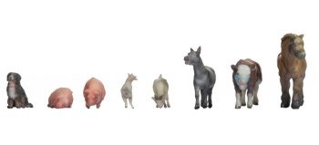 Animales de granja.