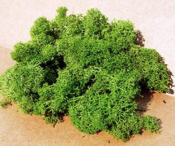 Mugo islandia color verde, 30g.