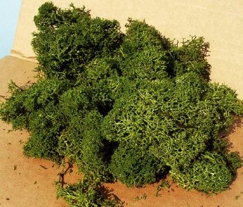 Musgo islandia color verde, 75g