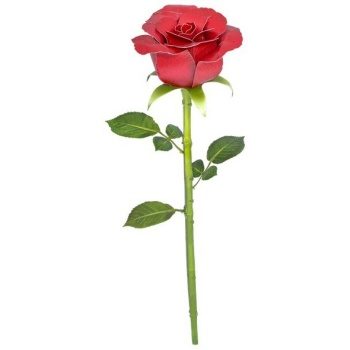 Metal Earth: Rosa.