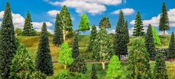 Surtido de arboles, 50 unidades entre 35-150mm
