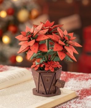 Poinsettia.