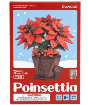 Poinsettia.