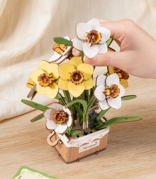 Narcisos.
