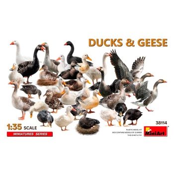 Patos y gansos, escala 1/35.